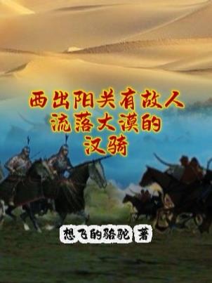 西出阳关有故人，流落大漠的汉骑