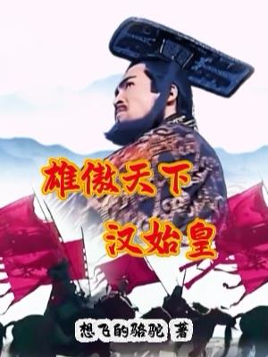 雄傲天下，汉始皇